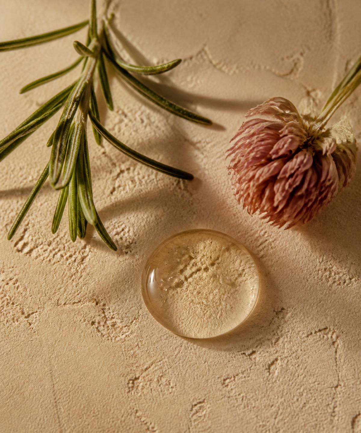 A droplet of serum beside fresh rosemary and a dried red clover blossom